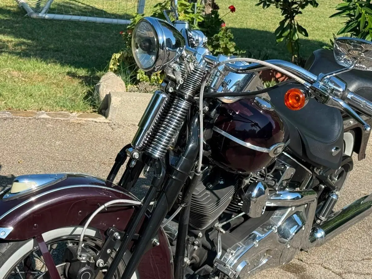 Harley-Davidson 1450 Springer Classic (2005) - FLSTSCI (18)