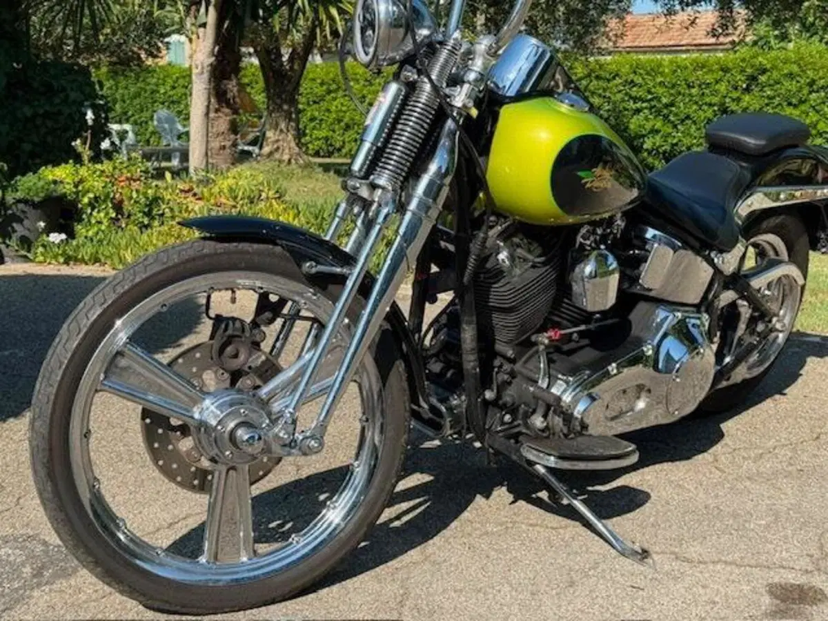 Harley-Davidson 1450 Springer (2001 - 03) - FXSTS (2)