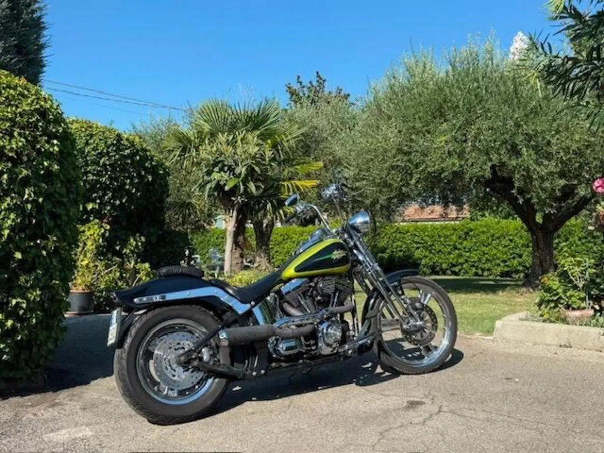 Harley-Davidson 1450 Springer (2001 - 03) - FXSTS (4)