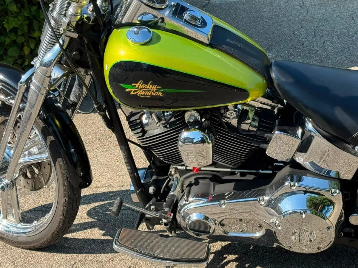 Harley-Davidson 1450 Springer (2001 - 03) - FXSTS (5)