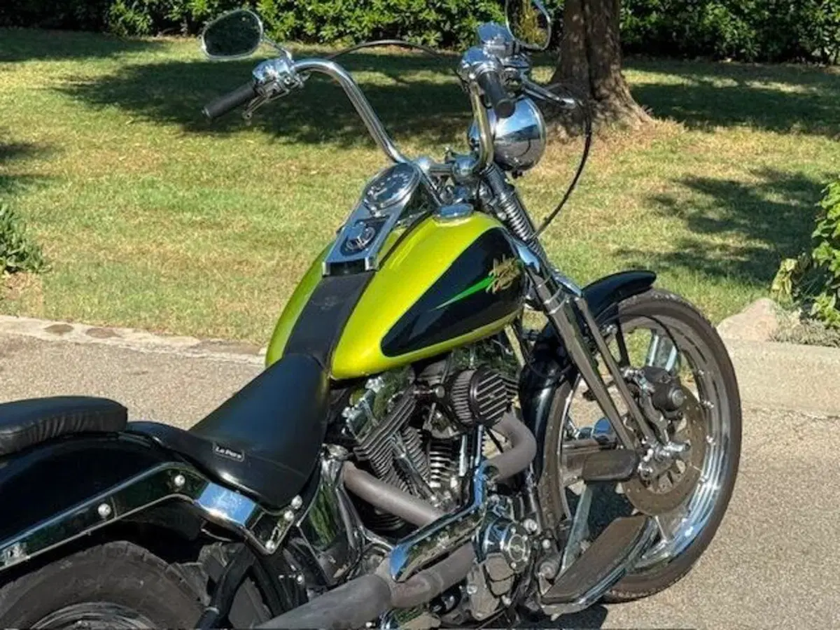 Harley-Davidson 1450 Springer (2001 - 03) - FXSTS (6)