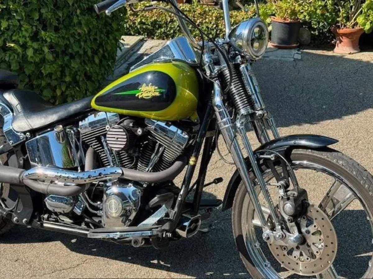 Harley-Davidson 1450 Springer (2001 - 03) - FXSTS (7)