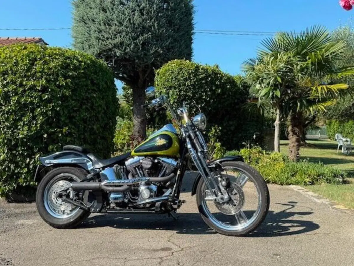 Harley-Davidson 1450 Springer (2001 - 03) - FXSTS