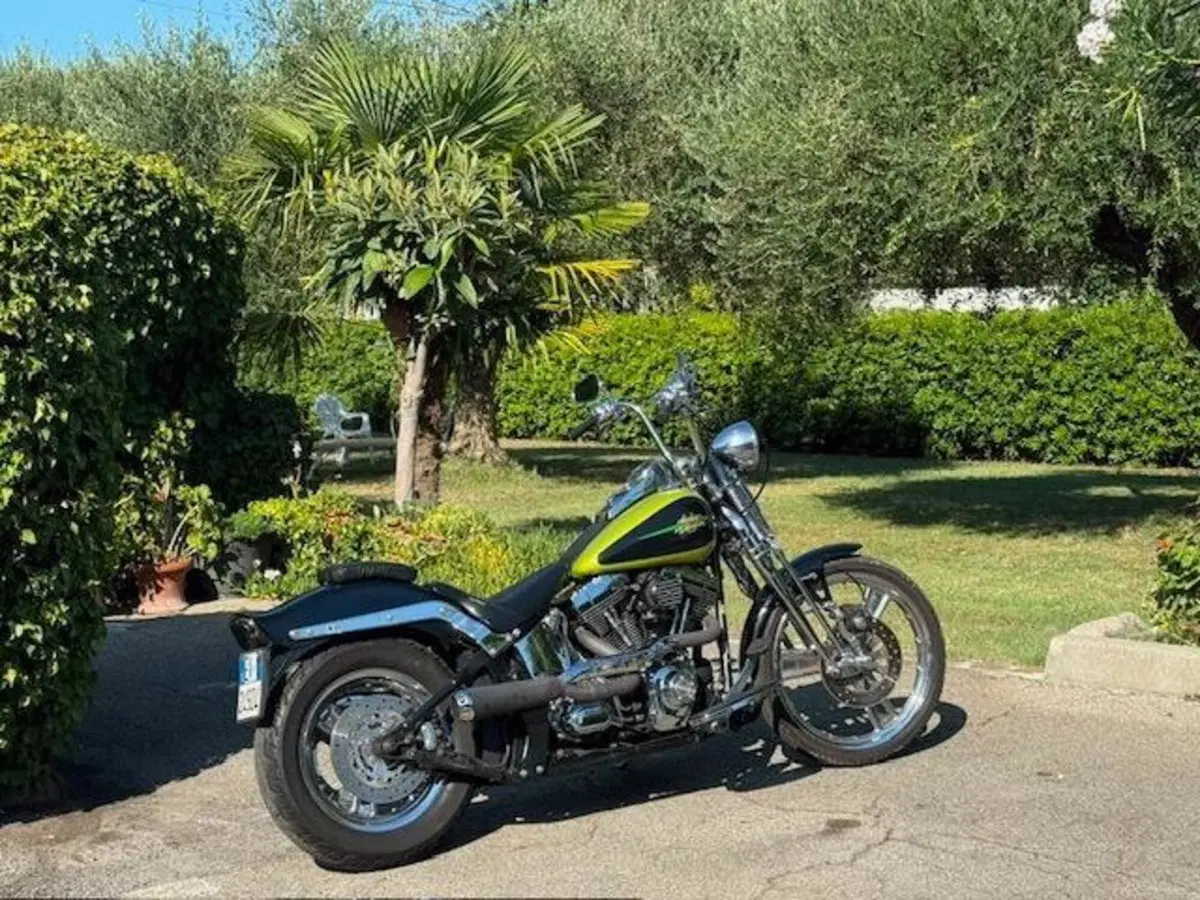 Harley-Davidson 1450 Springer (2001 - 03) - FXSTS (8)