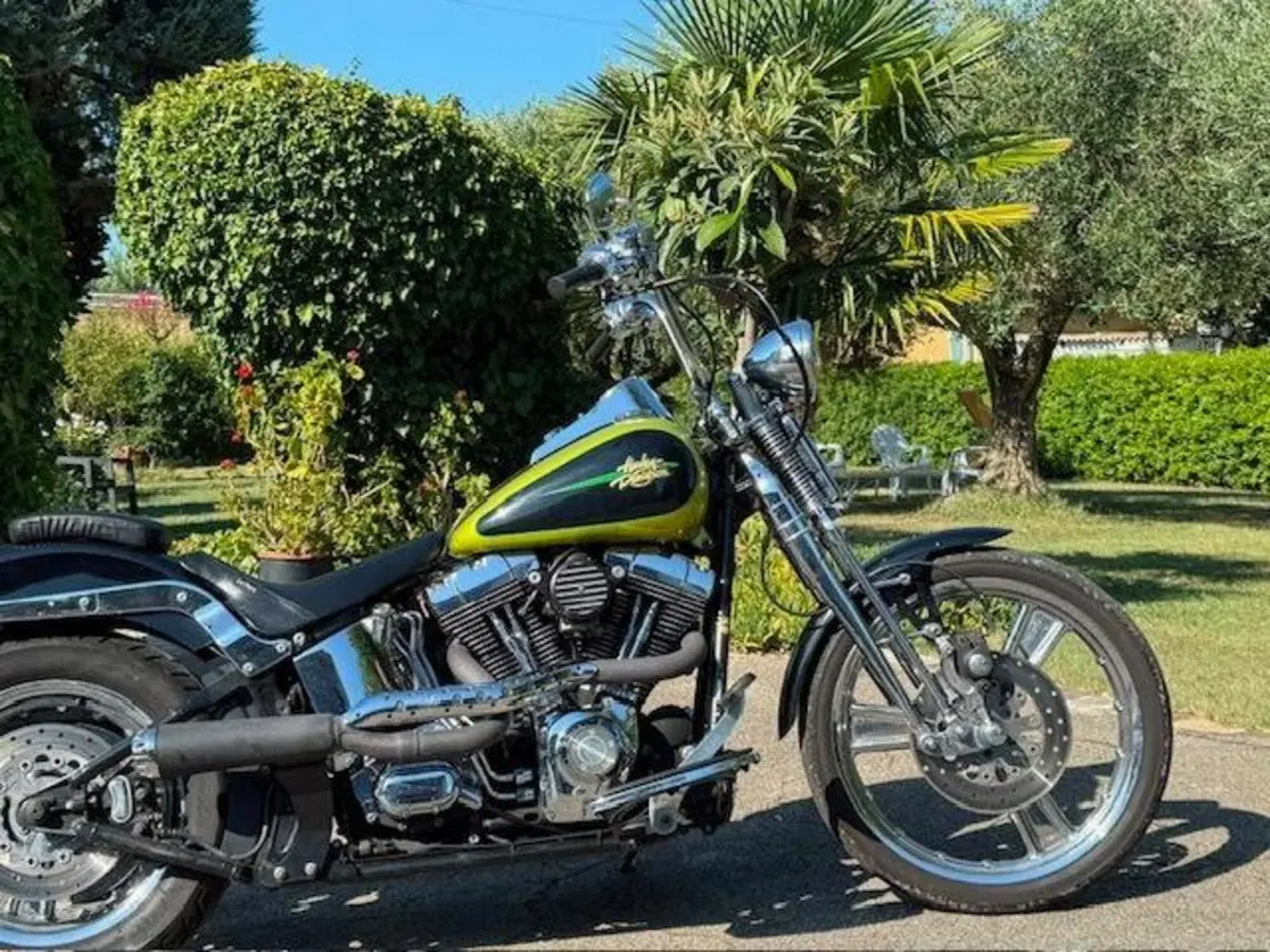 Harley-Davidson 1450 Springer (2001 - 03) - FXSTS (9)