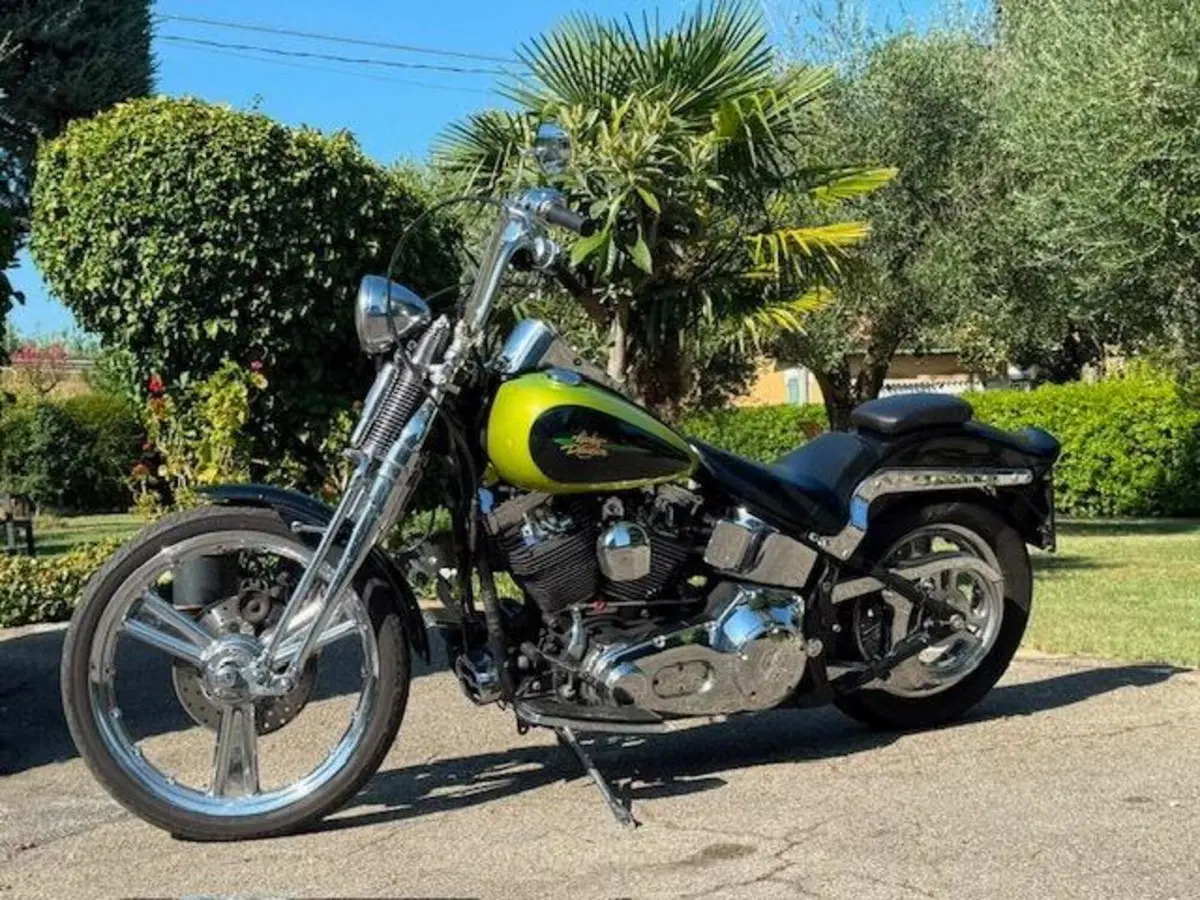 Harley-Davidson 1450 Springer (2001 - 03) - FXSTS (11)