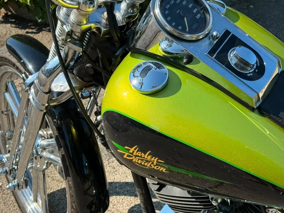 Harley-Davidson 1450 Springer (2001 - 03) - FXSTS (12)