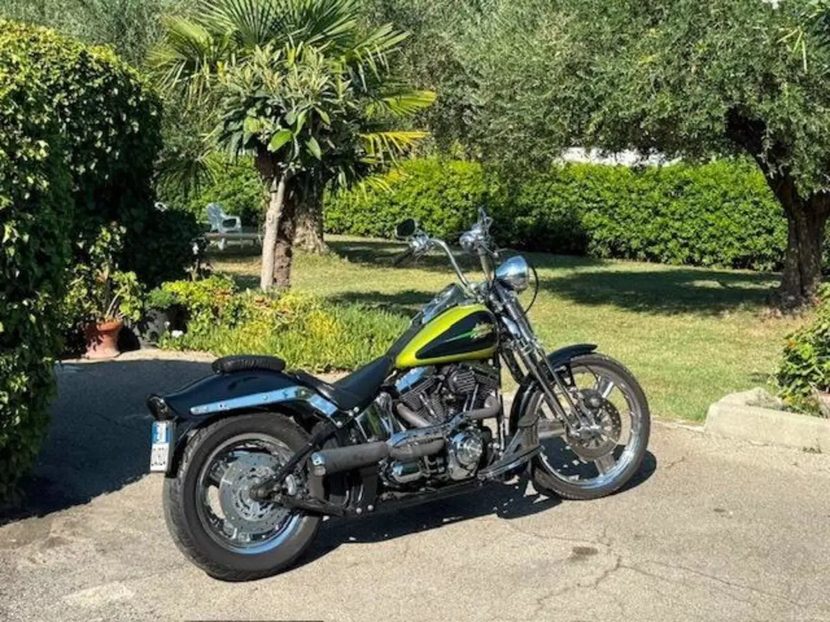 Harley-Davidson 1450 Springer (2001 - 03) - FXSTS (13)