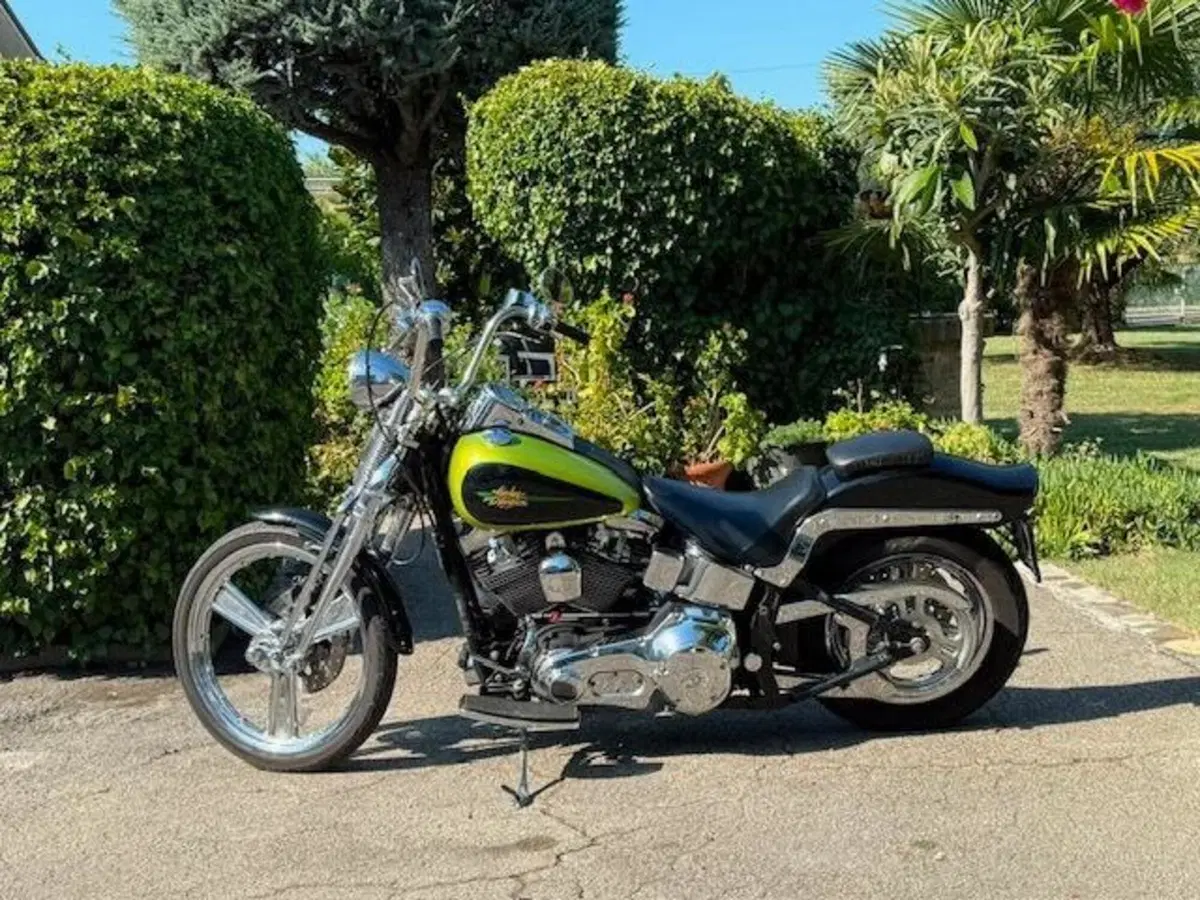Harley-Davidson 1450 Springer (2001 - 03) - FXSTS (14)