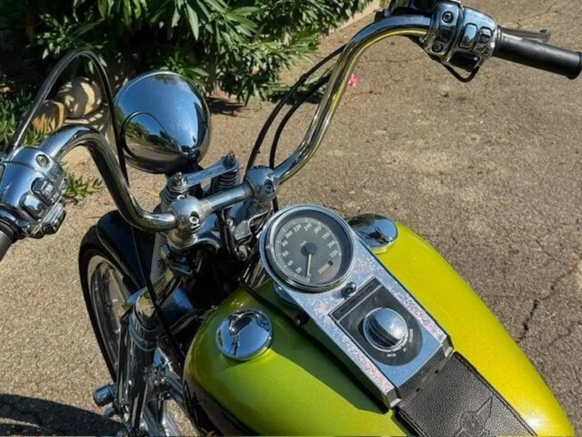 Harley-Davidson 1450 Springer (2001 - 03) - FXSTS (15)