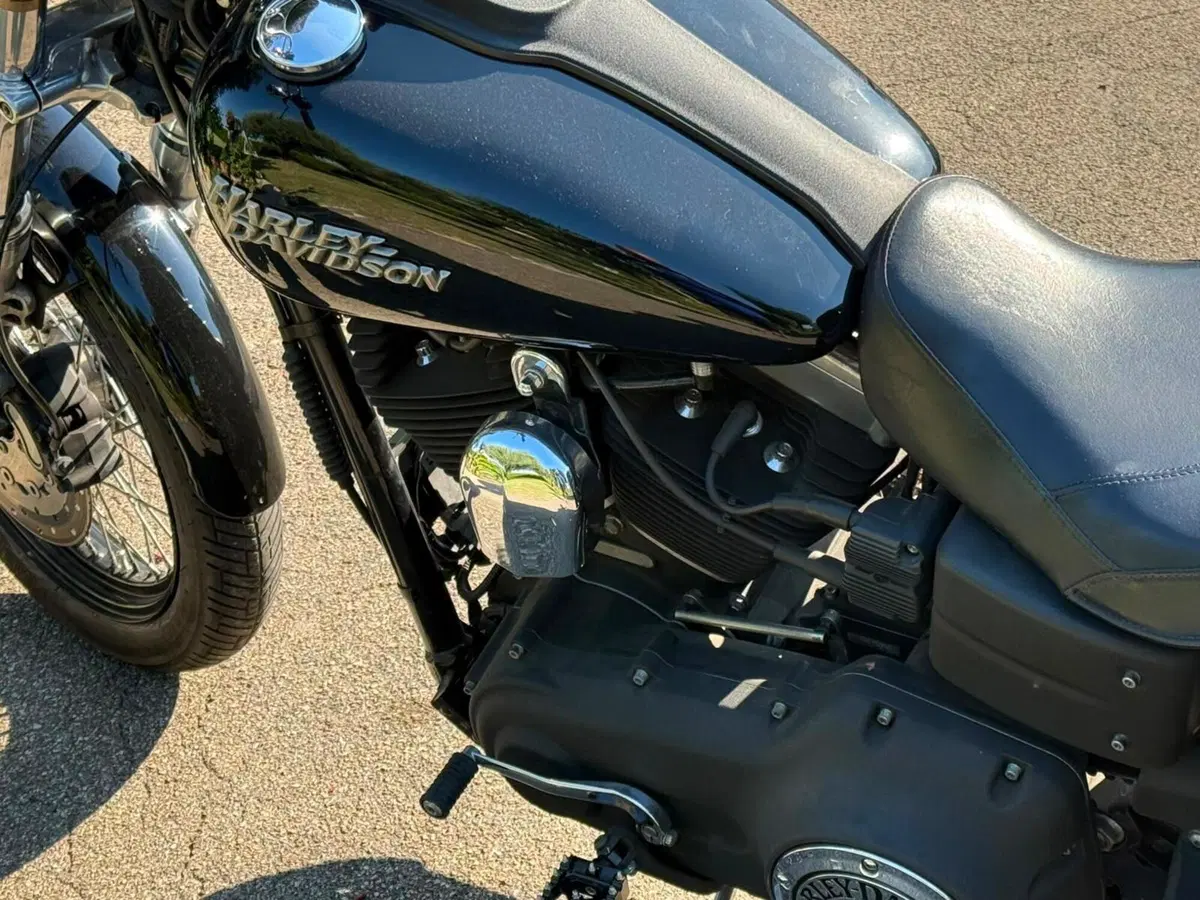 Harley-Davidson 1584 Street Bob (2008 - 15) - FXDB (9)