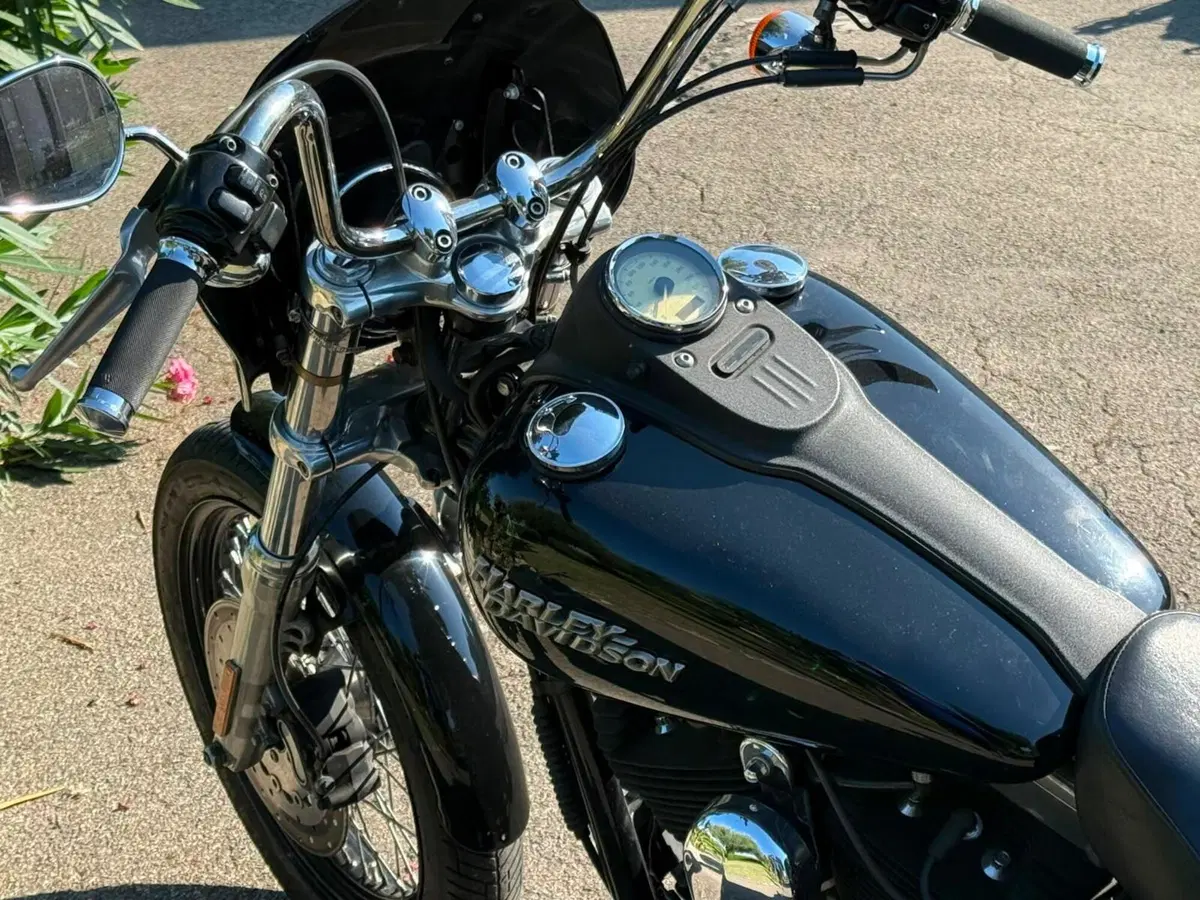 Harley-Davidson 1584 Street Bob (2008 - 15) - FXDB (18)