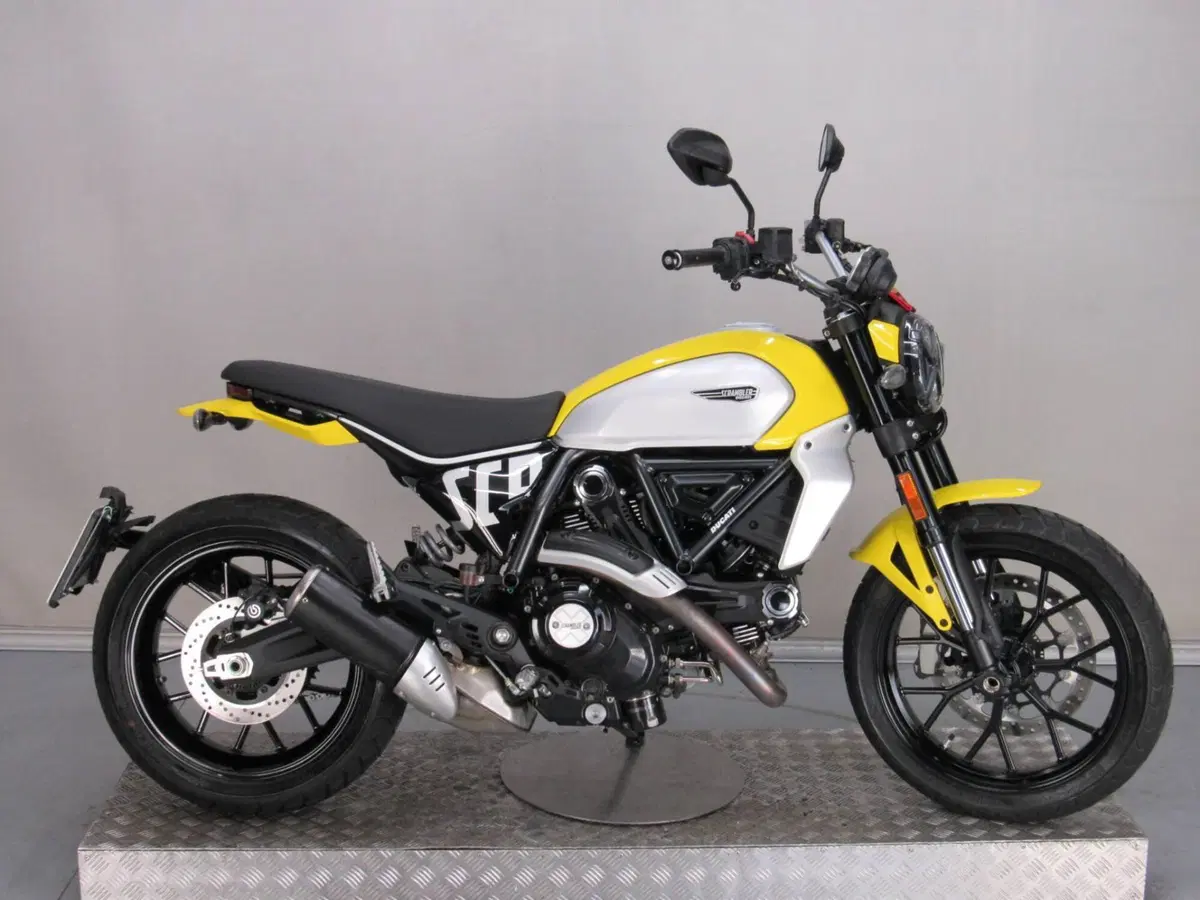 Ducati Scrambler 800 Icon (2023 - 24) (2)