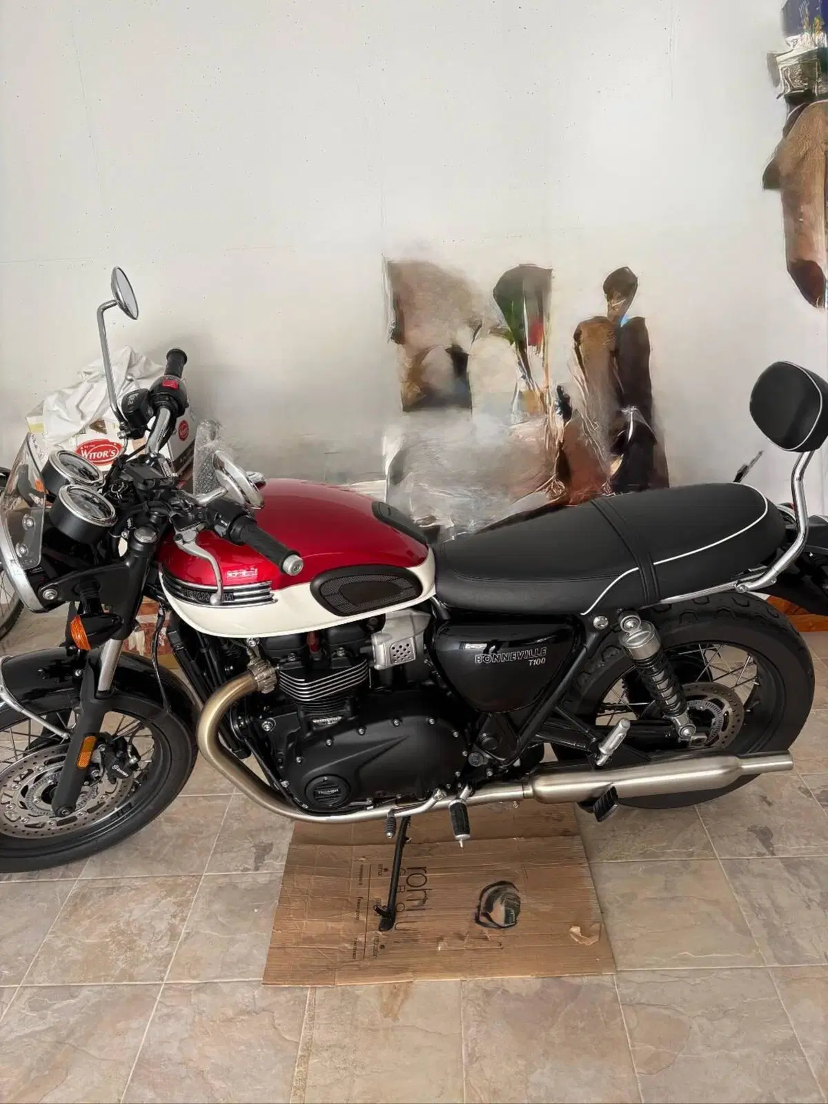 Triumph Bonneville T100 (2021 - 25) (3)