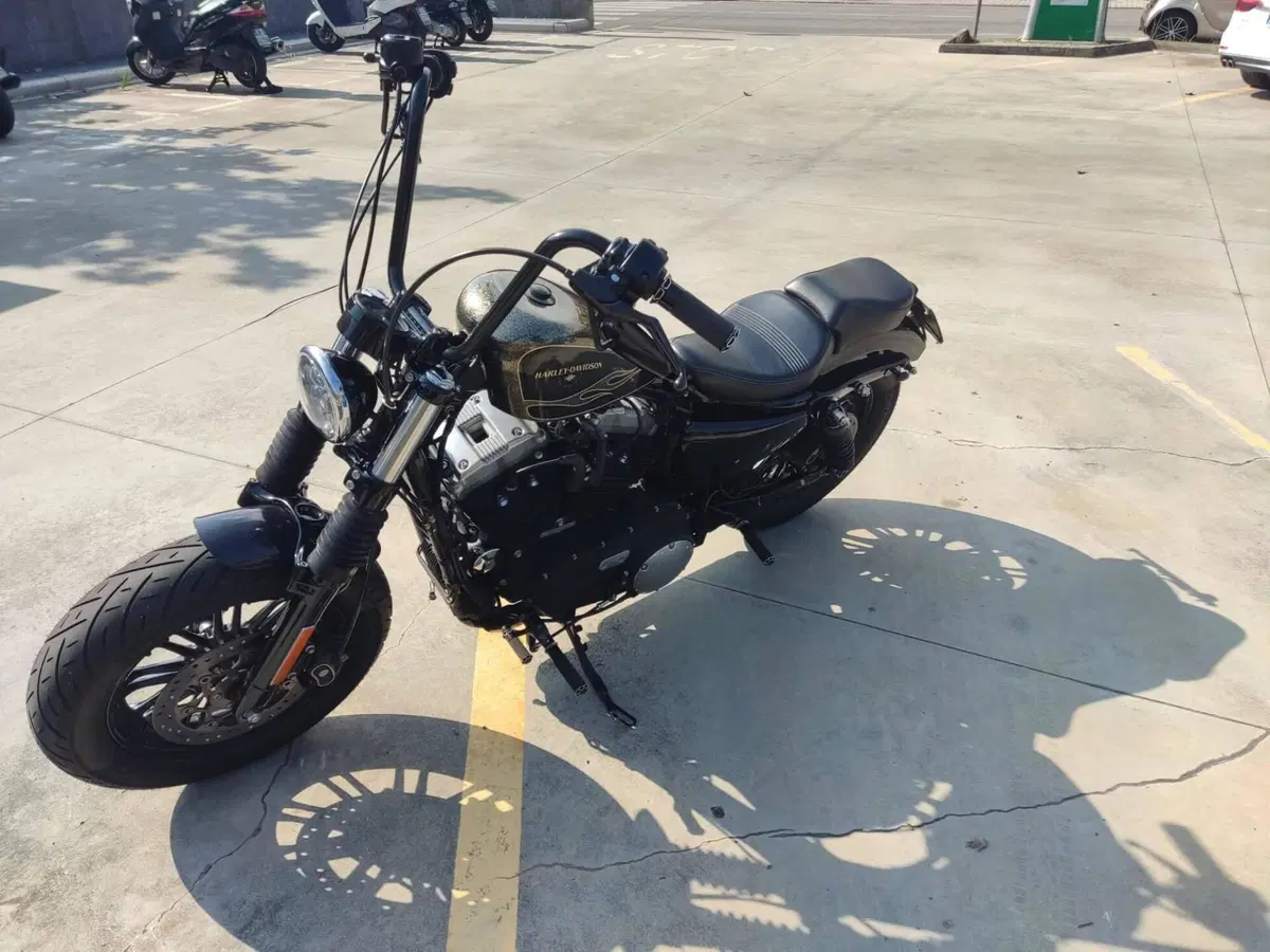 Harley-Davidson 1200 Forty-Eight (2016 - 20) (4)