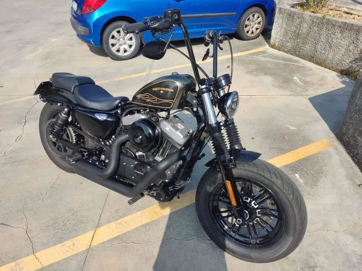 Harley-Davidson 1200 Forty-Eight (2016 - 20) (2)
