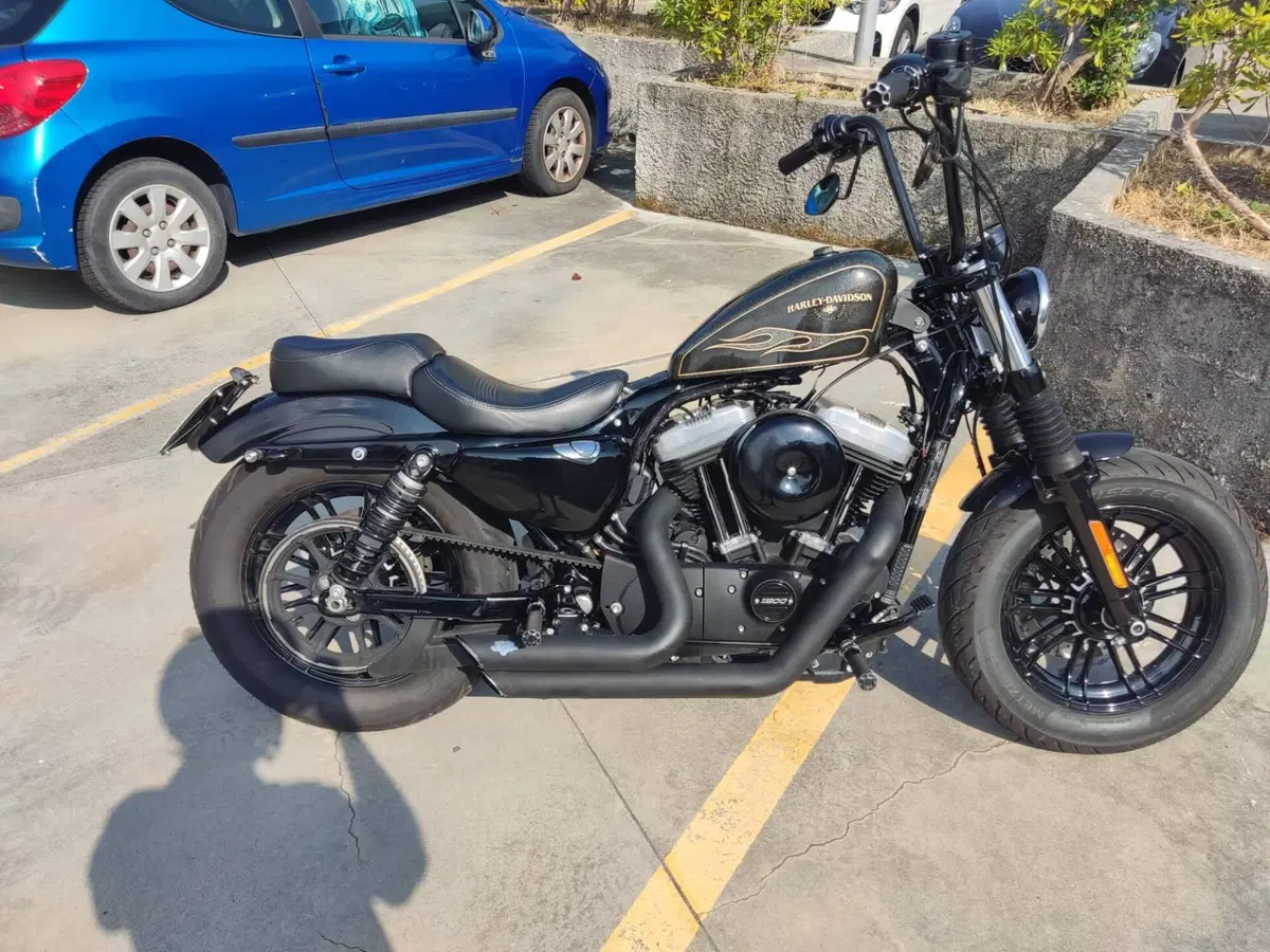 Harley-Davidson 1200 Forty-Eight (2016 - 20) (3)