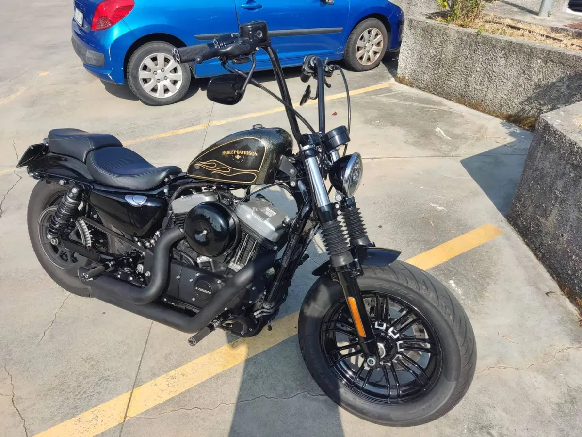 Harley-Davidson 1200 Forty-Eight (2016 - 20) (5)