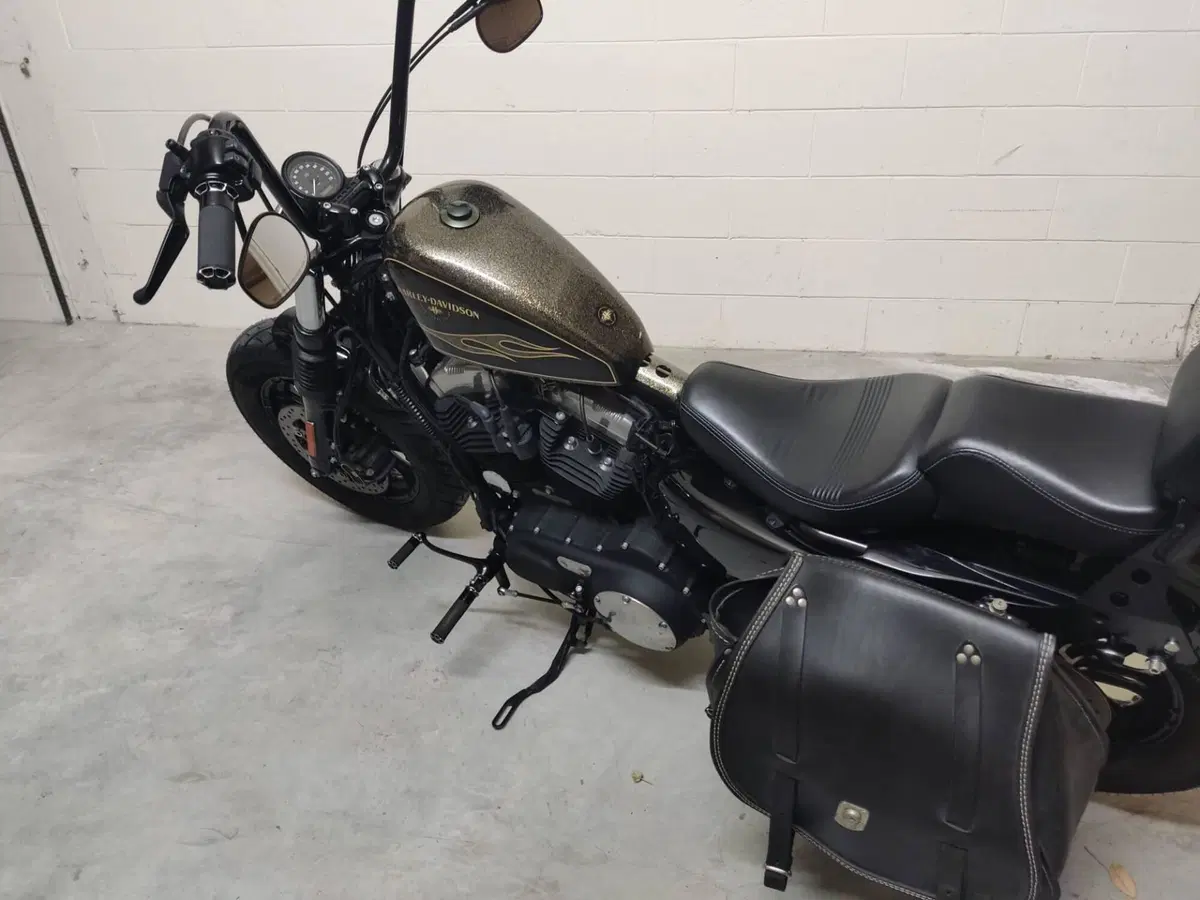 Harley-Davidson 1200 Forty-Eight (2016 - 20) (6)