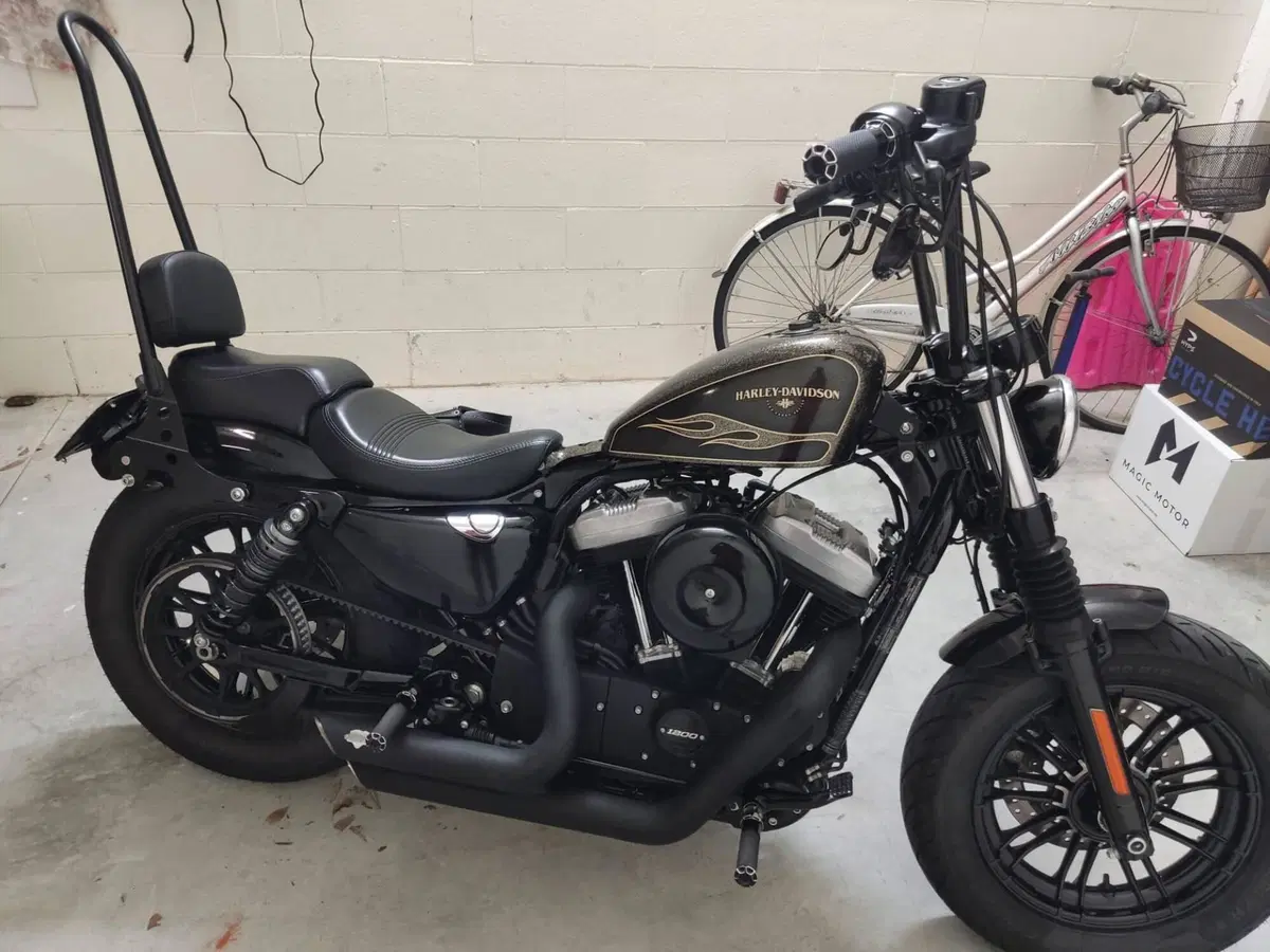 Harley-Davidson 1200 Forty-Eight (2016 - 20) (7)