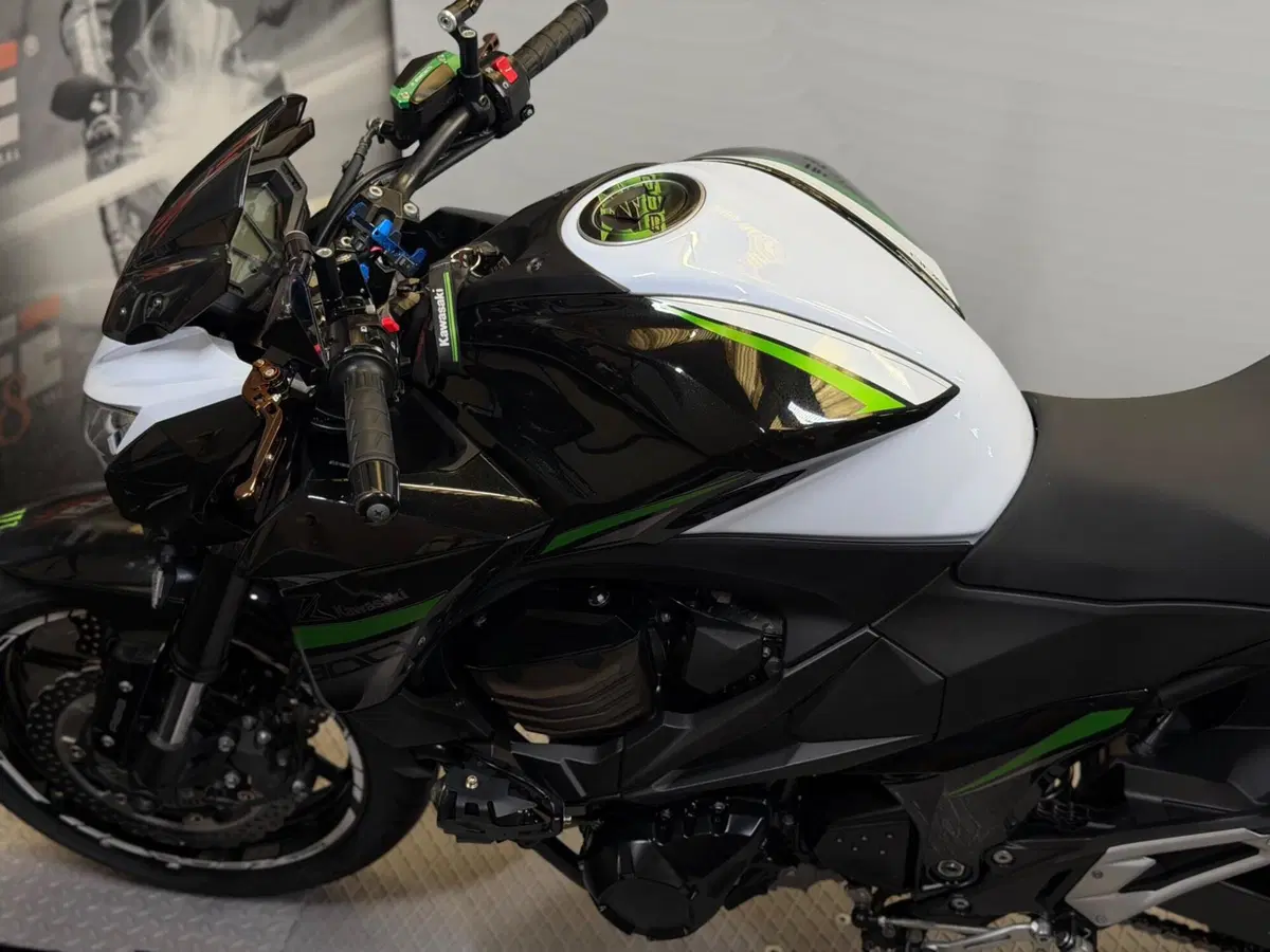 Kawasaki Z 800 e ABS (2012 - 16) (10)