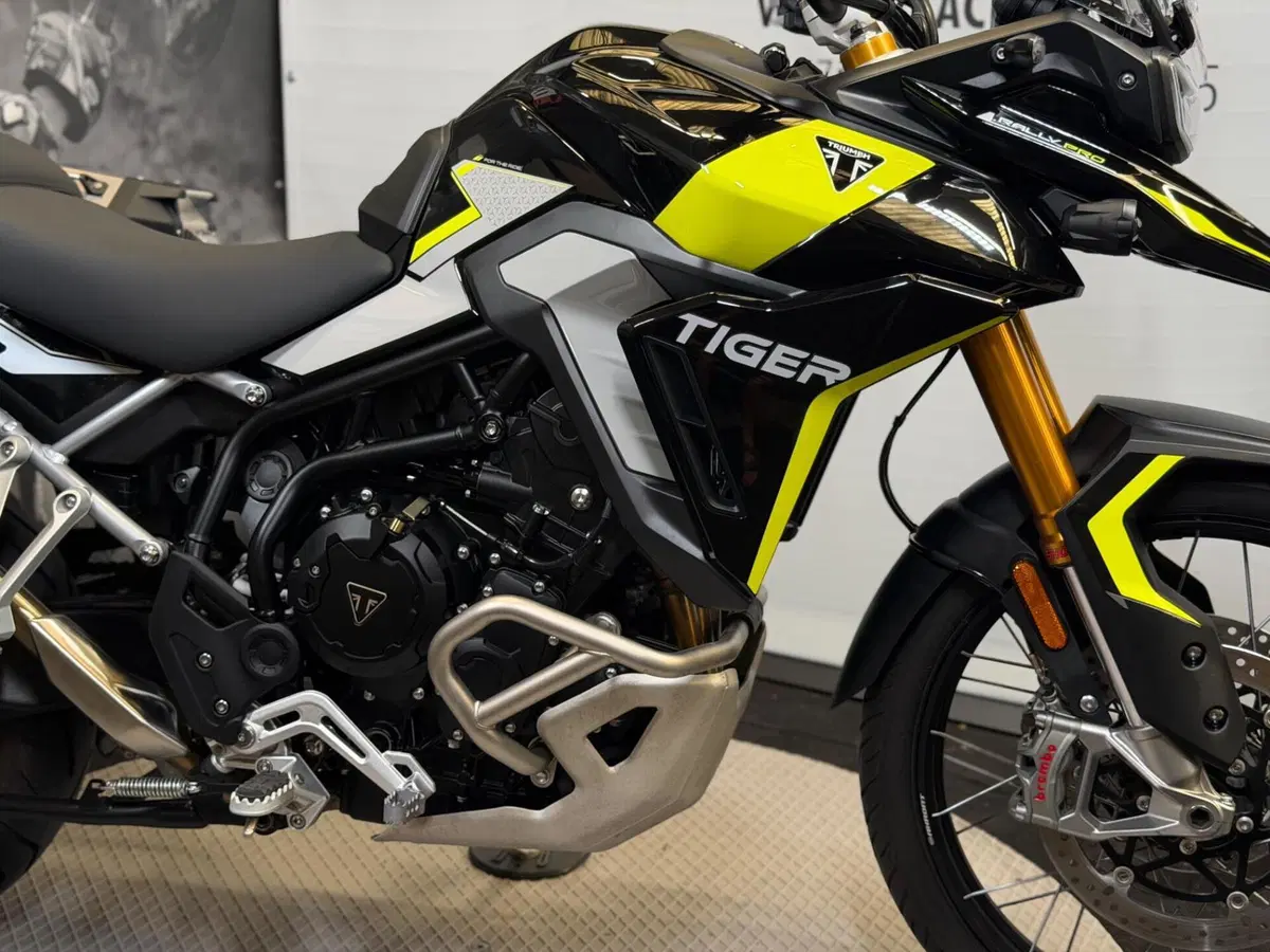 Triumph Tiger 900 Rally Pro (2024 - 26) (4)