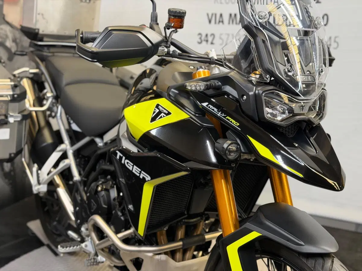 Triumph Tiger 900 Rally Pro (2024 - 26) (5)