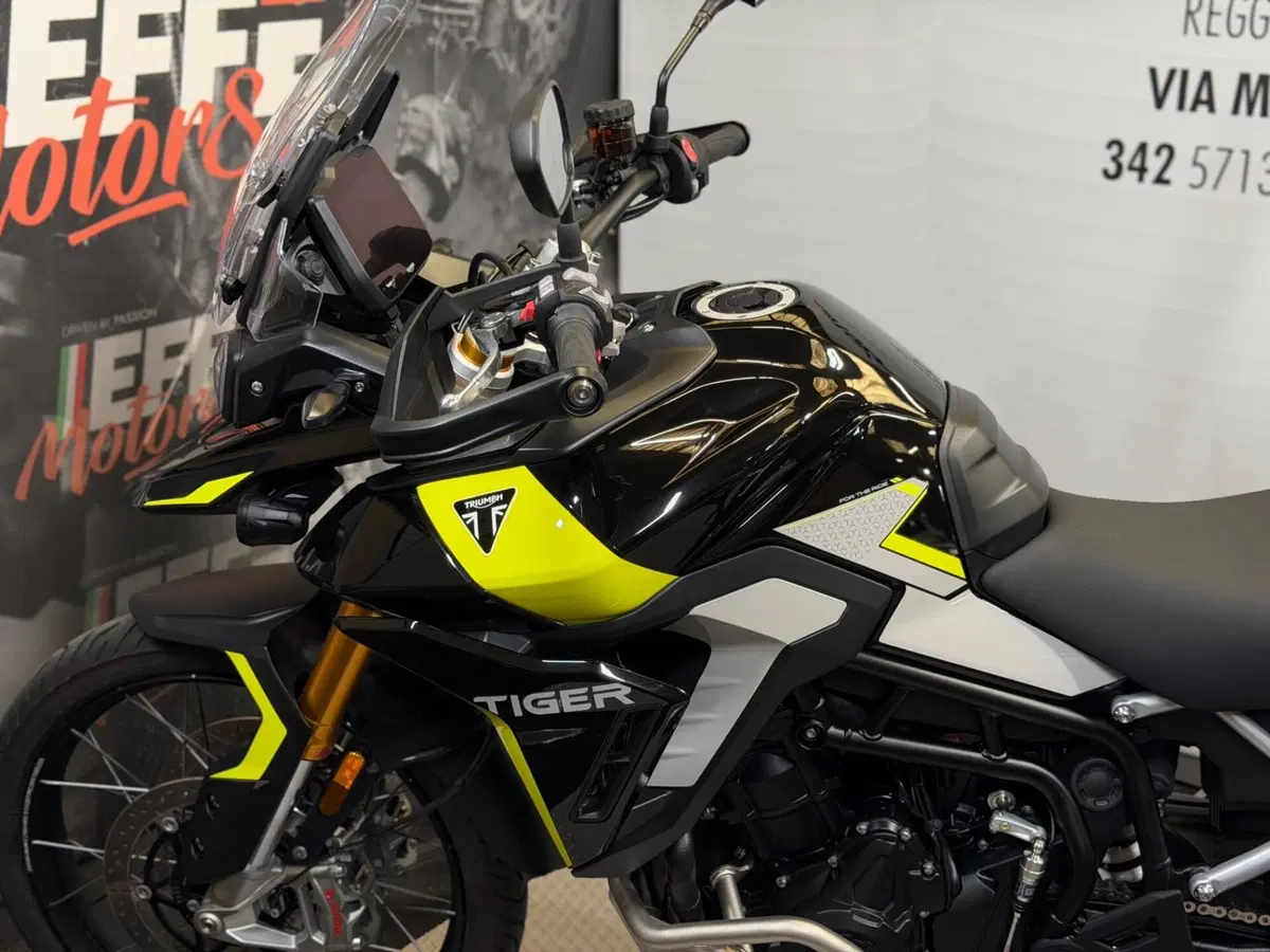 Triumph Tiger 900 Rally Pro (2024 - 26) (8)