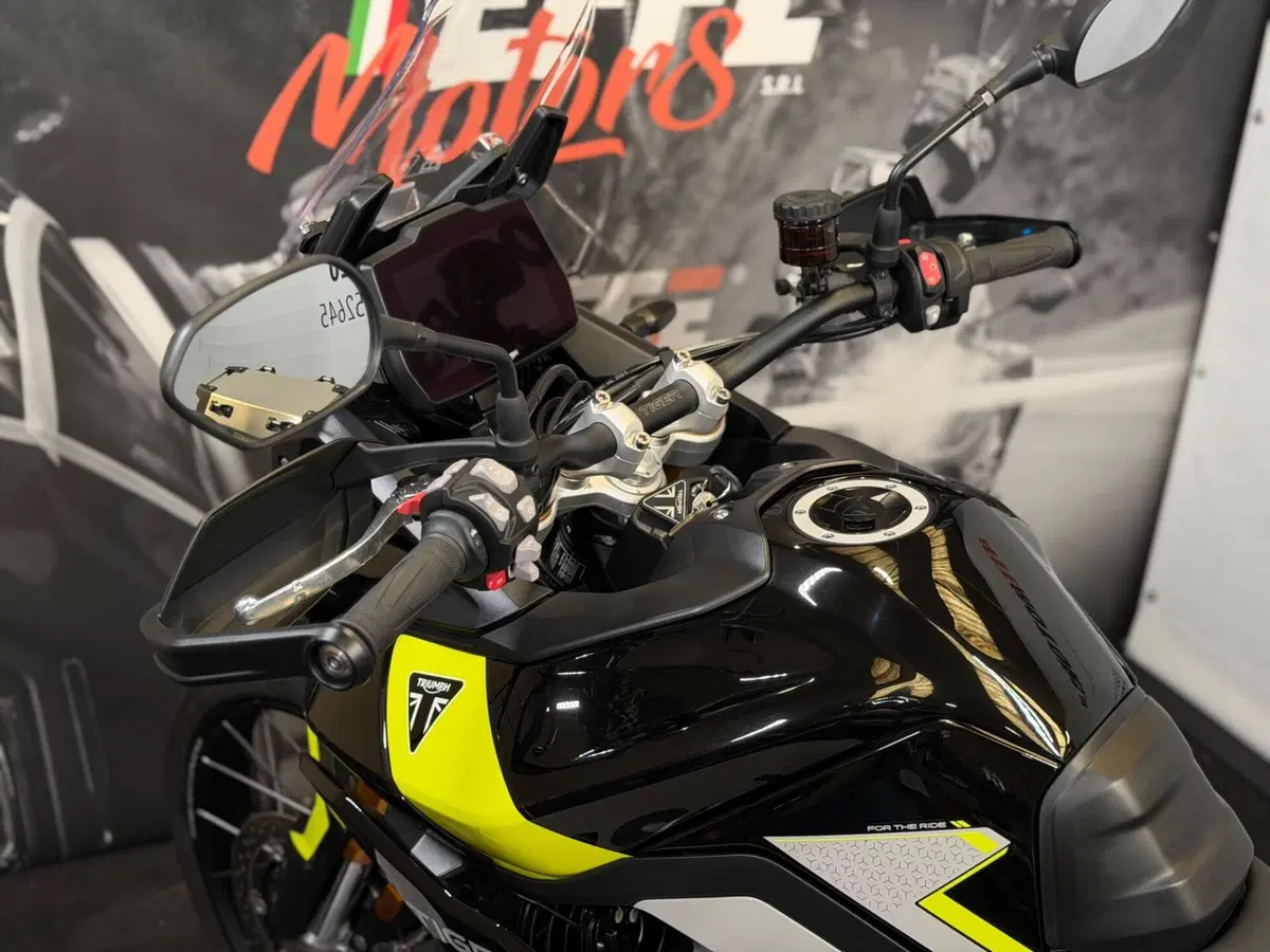 Triumph Tiger 900 Rally Pro (2024 - 26) (10)