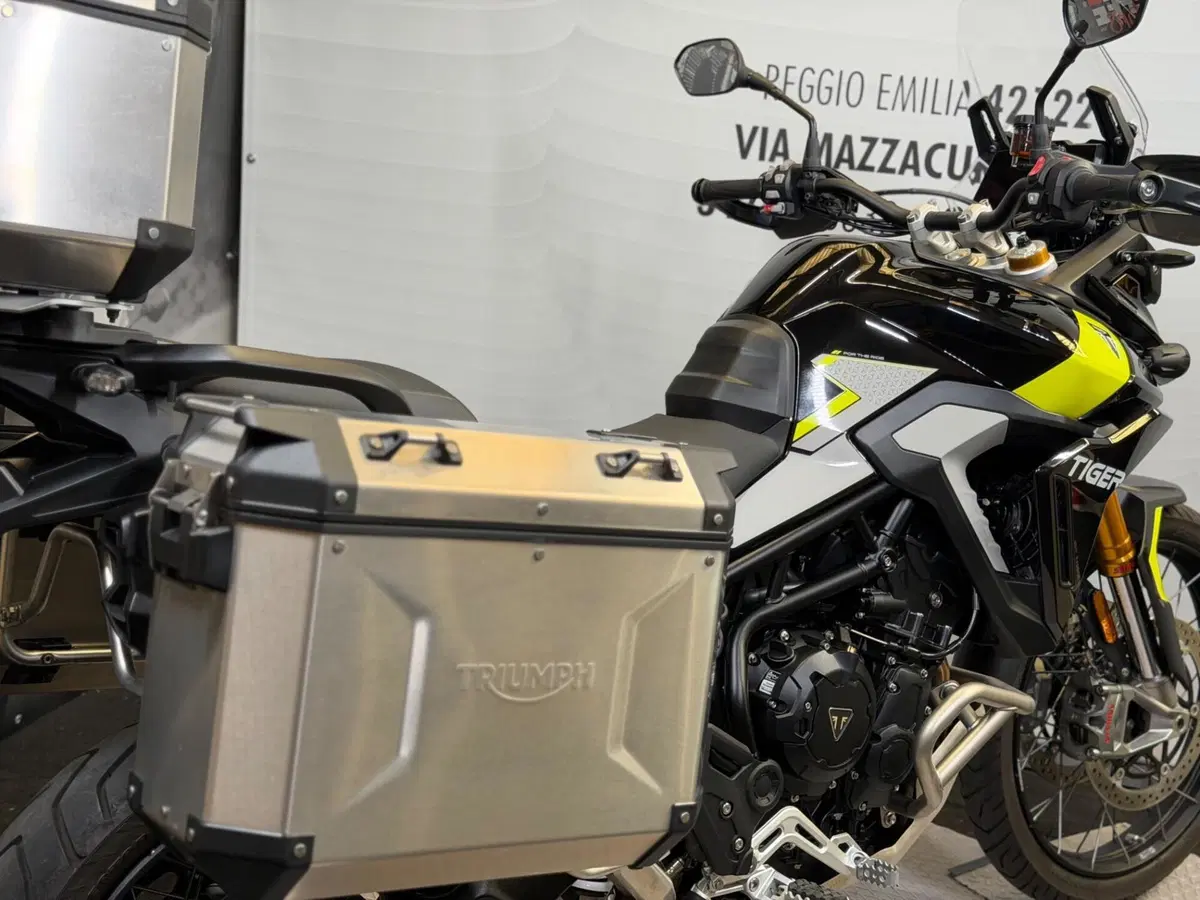 Triumph Tiger 900 Rally Pro (2024 - 26) (13)