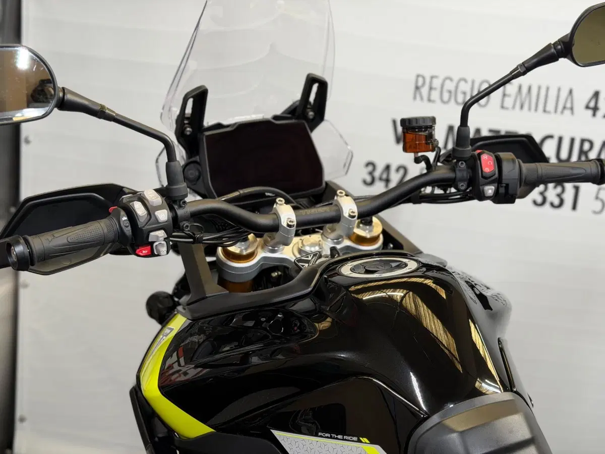 Triumph Tiger 900 Rally Pro (2024 - 26) (14)