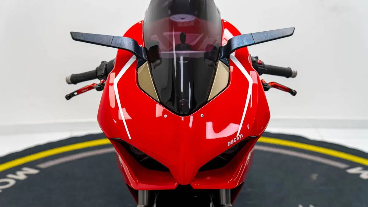 Ducati Panigale V4 1100 (2018 - 19) (10)