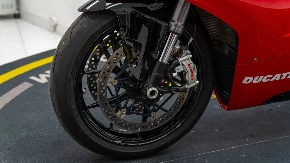 Ducati Panigale V4 1100 (2018 - 19) (14)