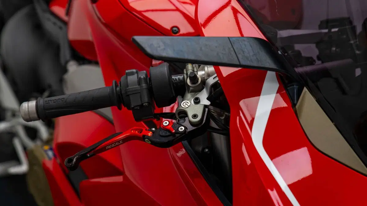 Ducati Panigale V4 1100 (2018 - 19) (15)