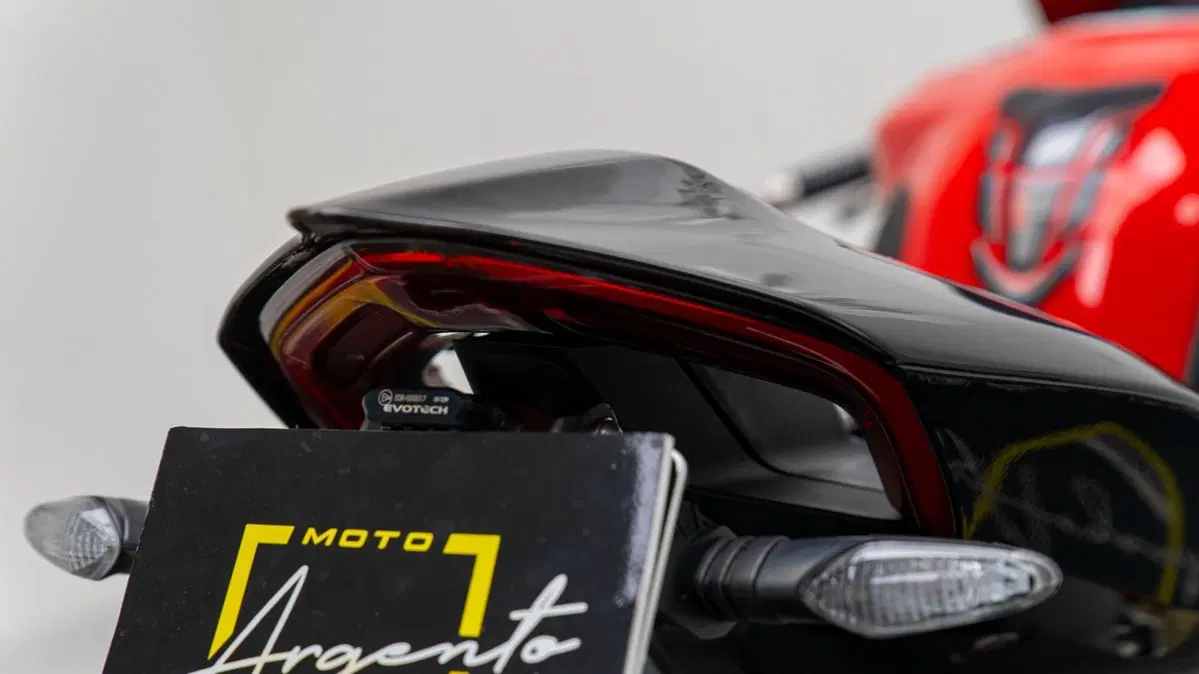 Ducati Panigale V4 1100 (2018 - 19) (16)