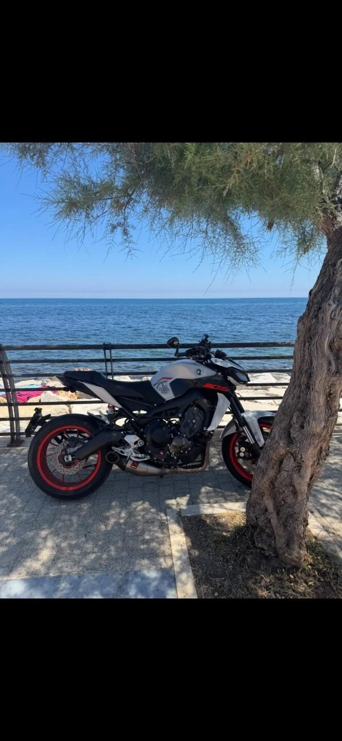 Yamaha MT-09 (2017 - 20) (3)