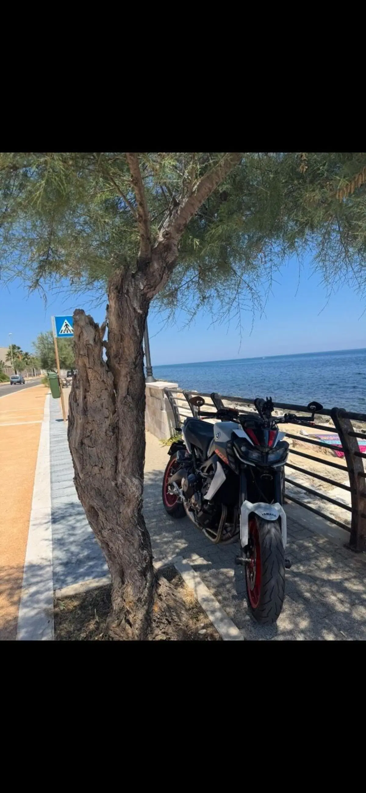 Yamaha MT-09 (2017 - 20) (4)