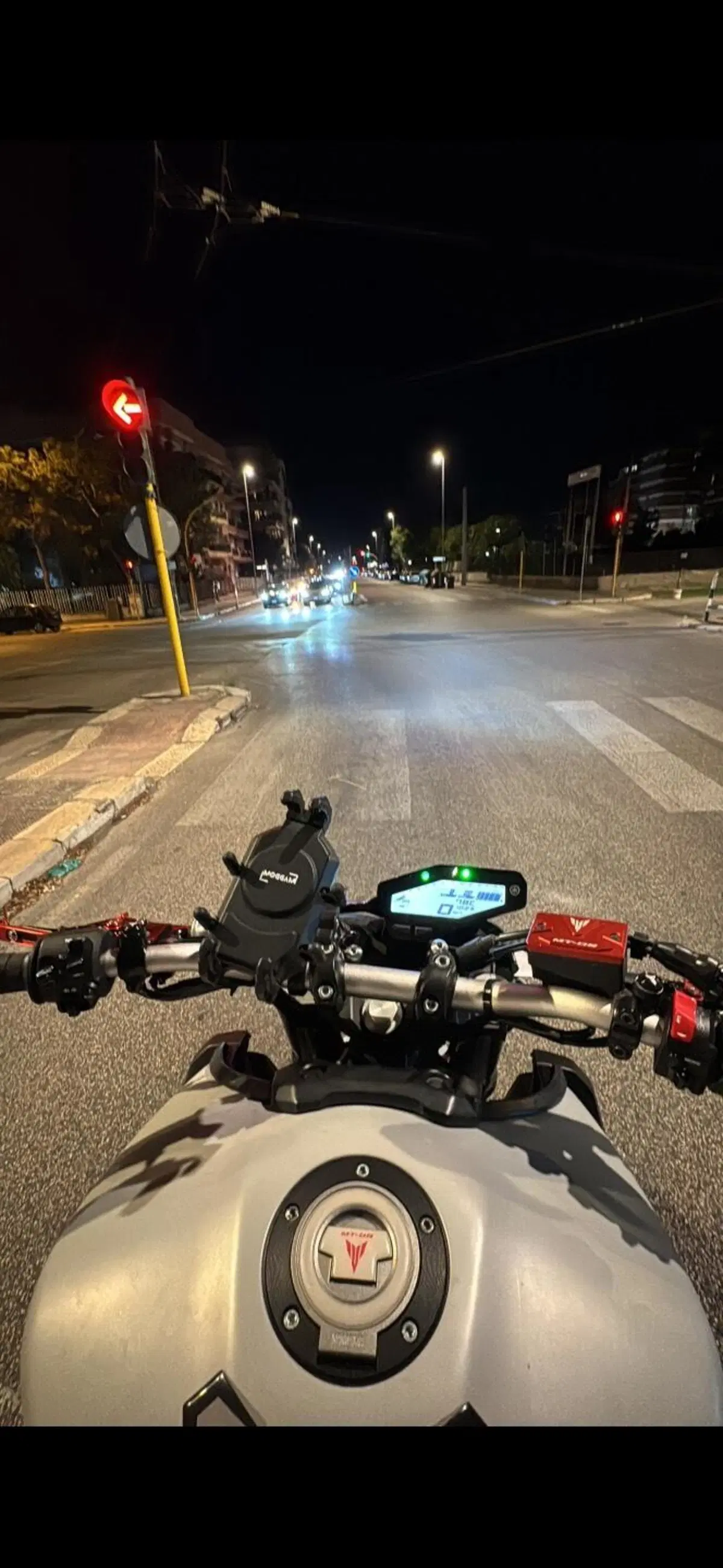 Yamaha MT-09 (2017 - 20) (7)