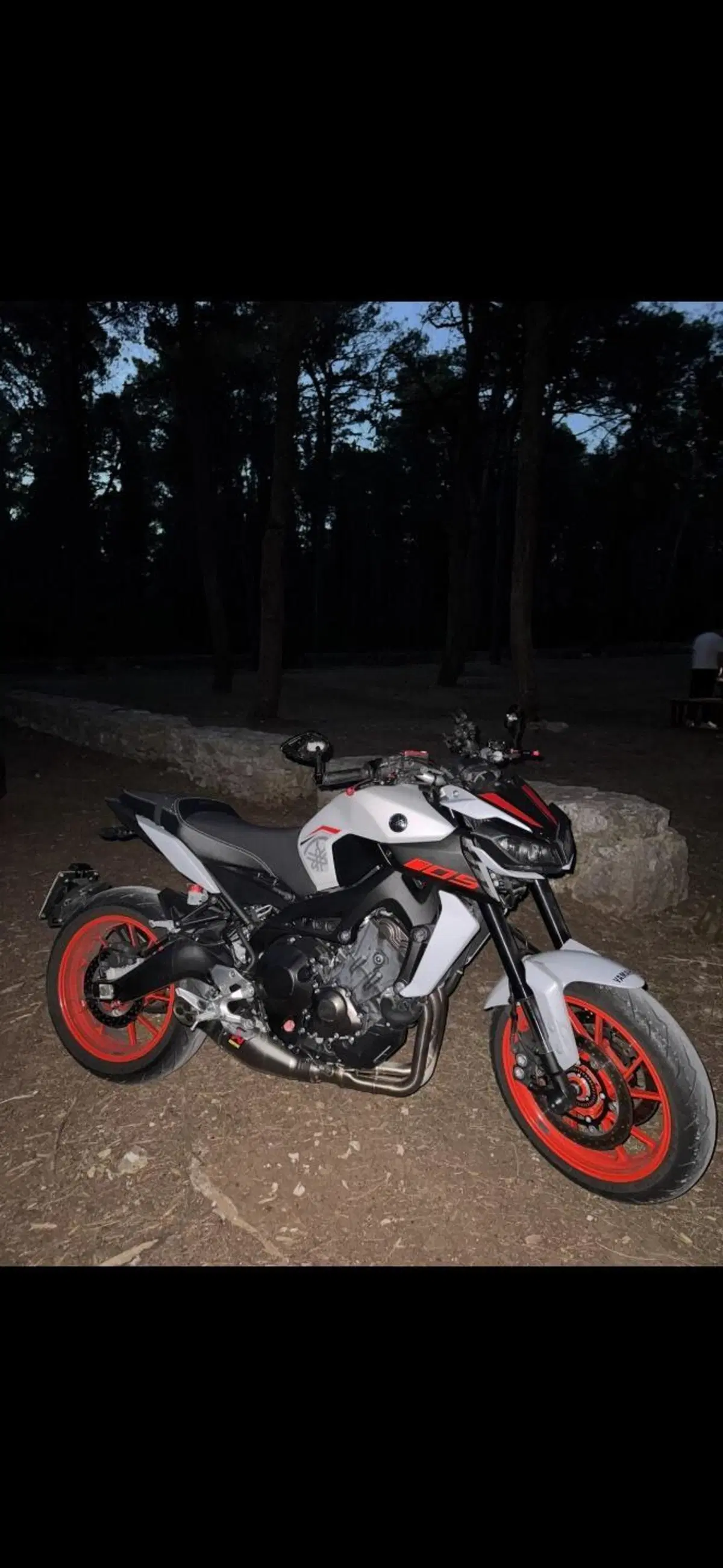 Yamaha MT-09 (2017 - 20) (12)
