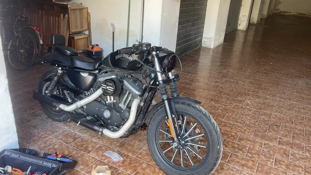 Harley-Davidson 883 Iron (2014 - 16) - XL 883N (3)