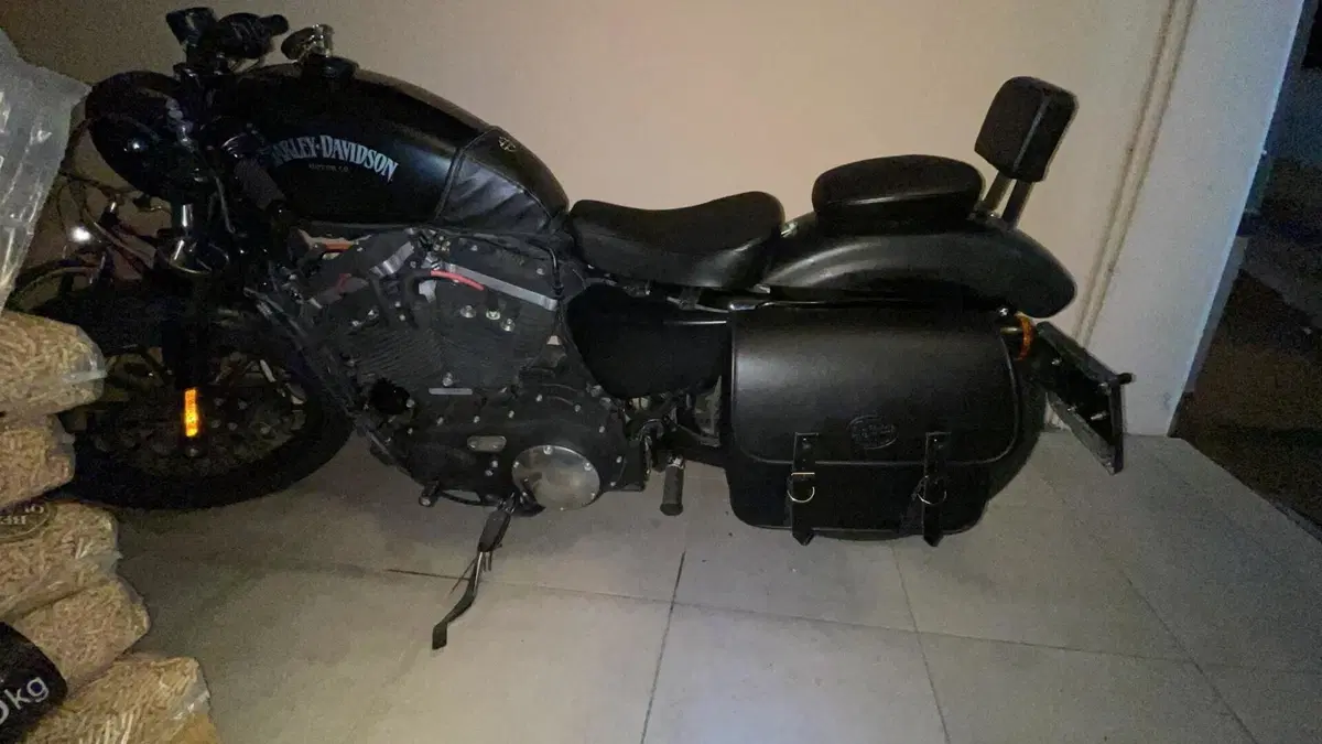 Harley-Davidson 883 Iron (2014 - 16) - XL 883N (4)