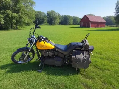 Harley-Davidson 1584 Night Train (2006 - 07) - FXSTB usata