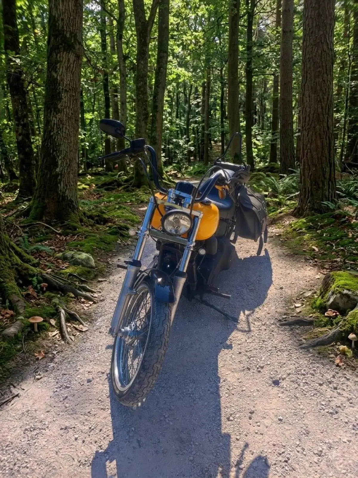 Harley-Davidson 1584 Night Train (2006 - 07) - FXSTB (2)
