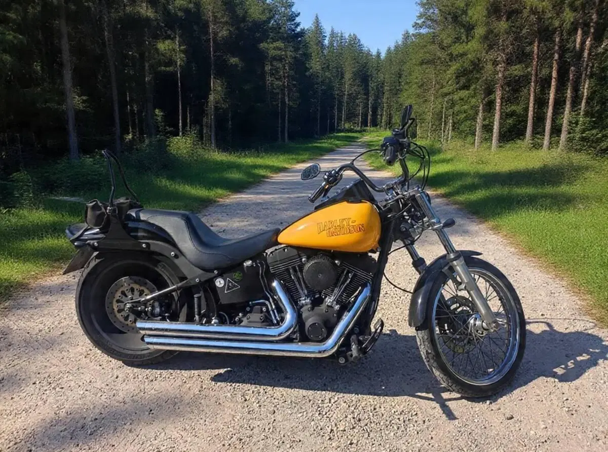 Harley-Davidson 1584 Night Train (2006 - 07) - FXSTB (3)
