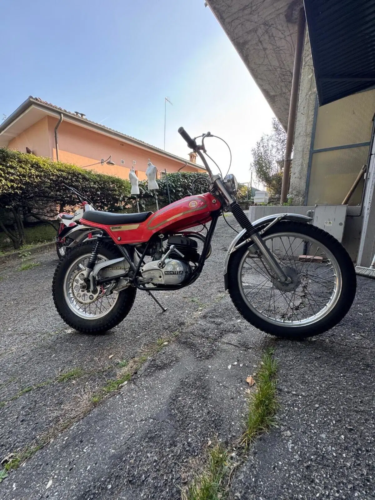 Montesa Cota 247 Trial (1980 - 81)