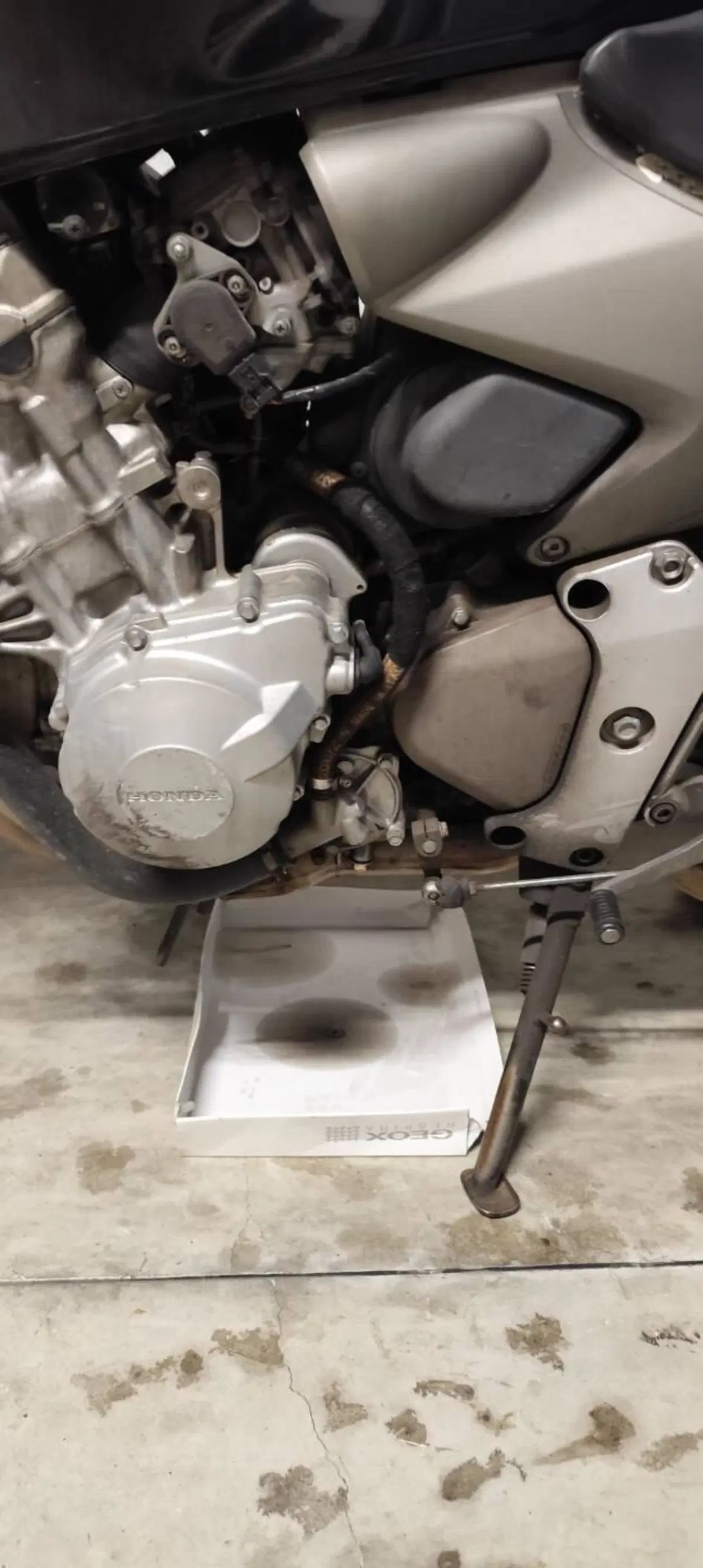 Honda Hornet 600 (2003 - 04) (9)