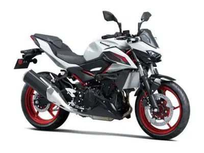 Kawasaki Z 500 SE (2024 - 26) nuova