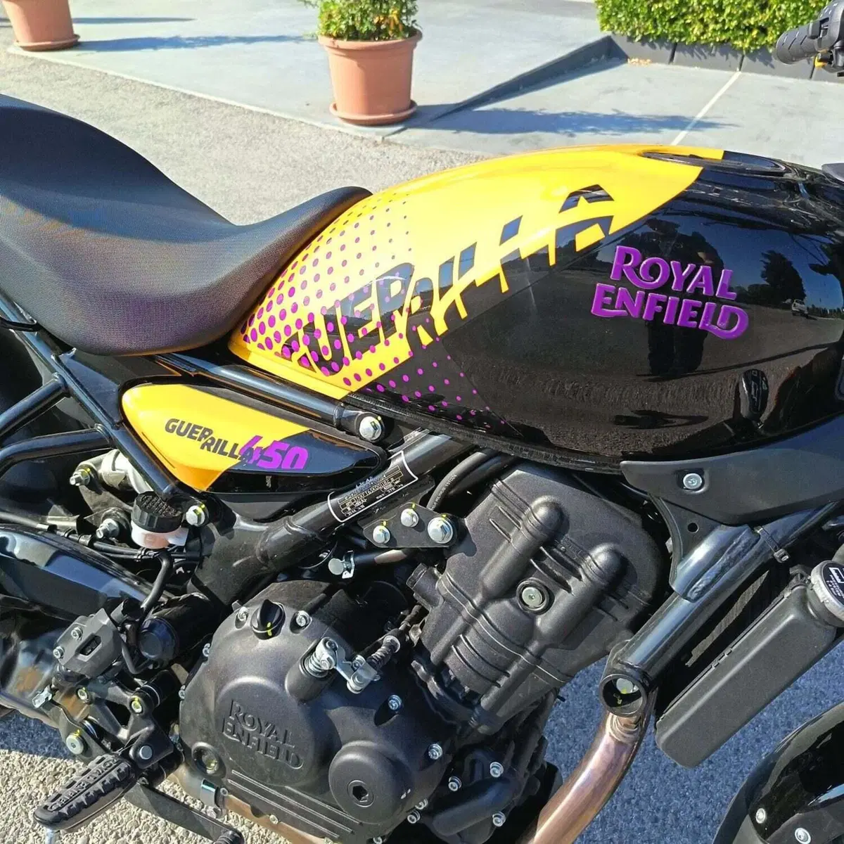 Royal Enfield Guerrilla 450 (2024 - 26) (6)
