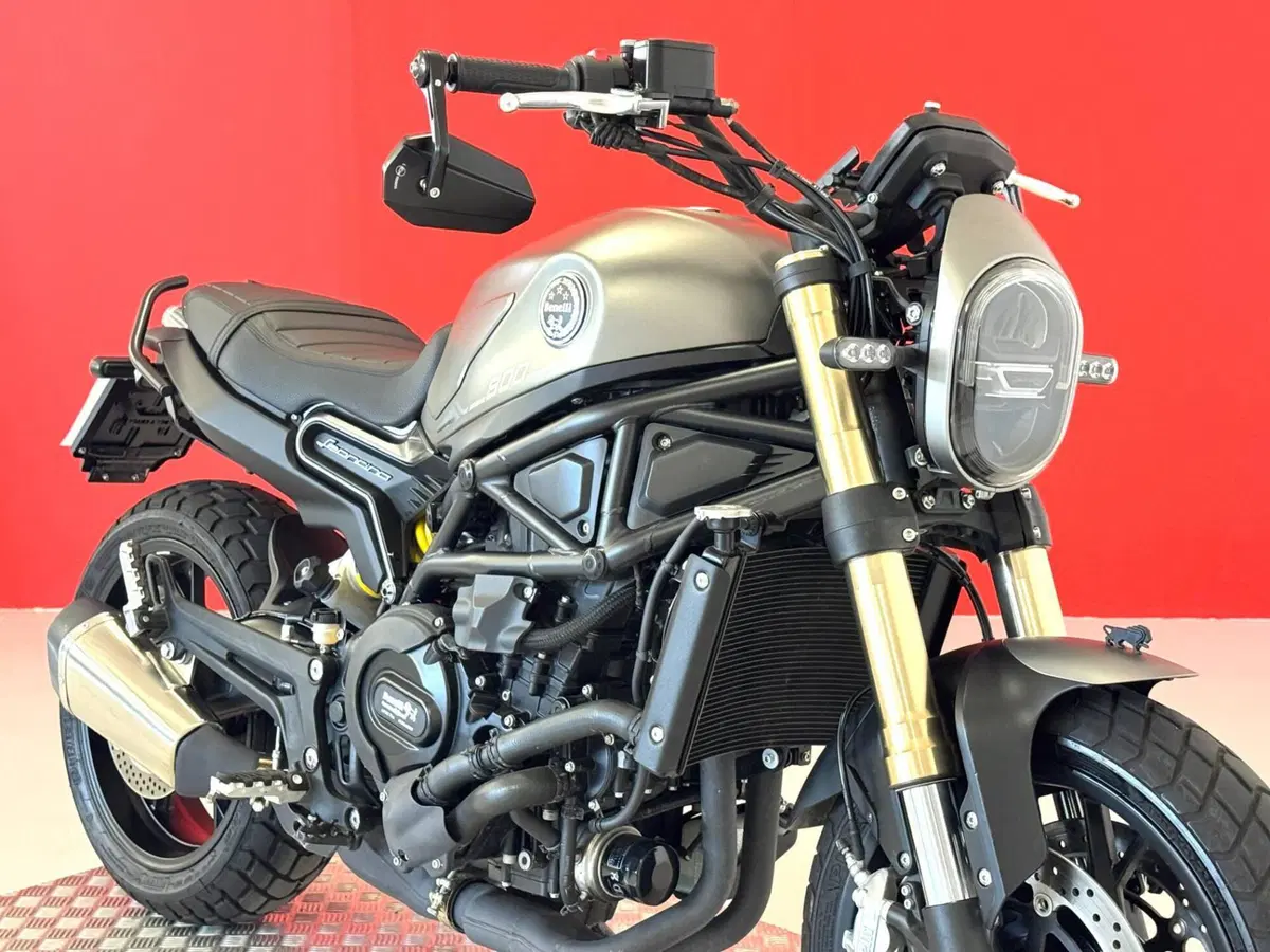 Benelli Leoncino 800 (2022 - 26) (9)