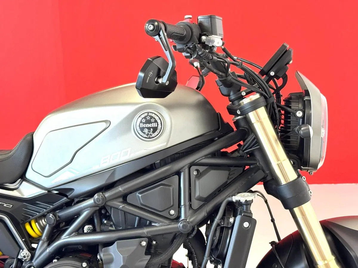 Benelli Leoncino 800 (2022 - 26) (10)